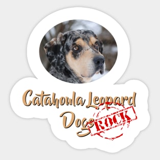 Catahoula Leopard Dogs Rock! Sticker